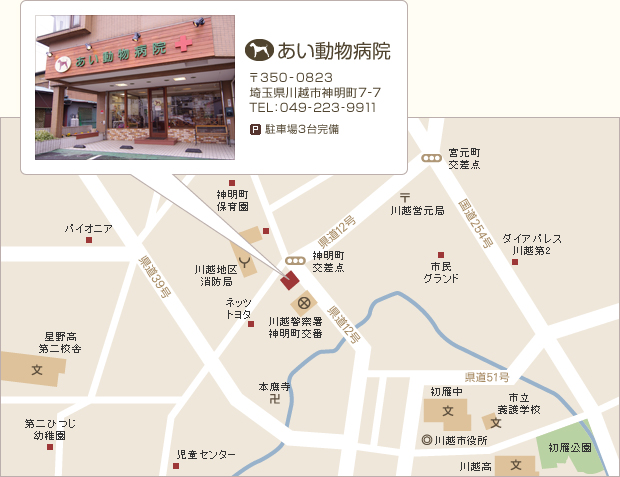 �A�N�Z�X�b���������a�@